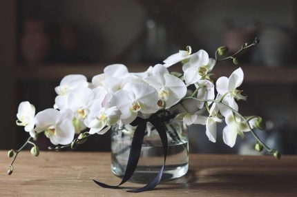 گل ارکیده در گلدان شیشه ای