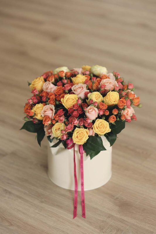 باکس رز طرح چروک