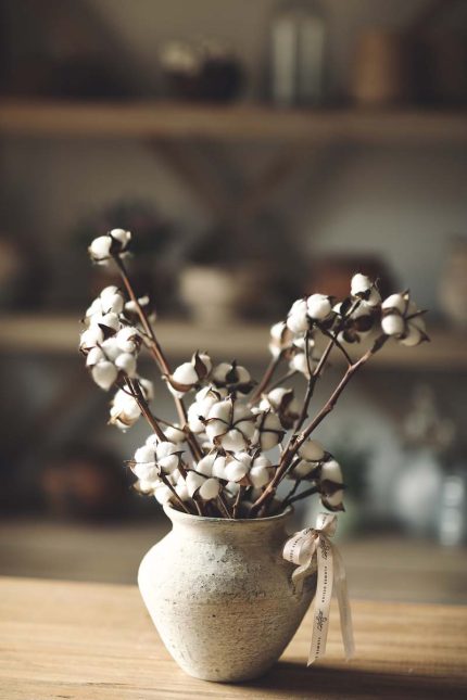 Medium pot of cotton