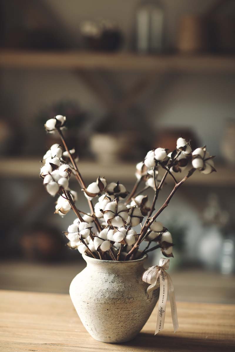 Medium pot of cotton