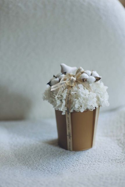 Everlasting winter hydrangea