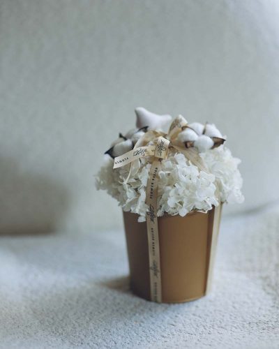Everlasting winter hydrangea
